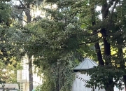 福法纳开始接受米兰体检，意甲揭幕战半场休息时将在球迷面前亮相