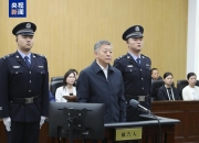 历时超1年半！杜兆才案时间线：去年4月接受调查，今日被判14年