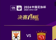 👀足协杯决赛前瞻：王者之战山东泰山冲第9冠，武磊伤缺谁为上海海港摧城拔寨？