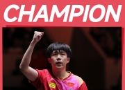 🏓WTT福冈总决赛：王楚钦4-0横扫张本智和夺冠