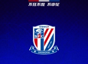 【一图流】💙1993-2024！上海申花建队31周年