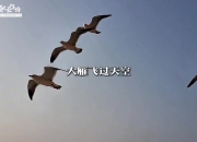 超5000字！宋凯《对中国足球发展的几点思考》演讲，戳视频👉