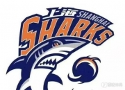 🏀CBA杯战报：威尔逊22+11&刘正清12分 刘金雨19分 上海89-80福建