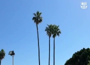 准备参加国王杯决赛！巴萨社媒晒球员们抵达塞维利亚视频