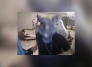 姿态看语音仁川双C越塔四杀 队友喊别越：我就猜到是这种情况！